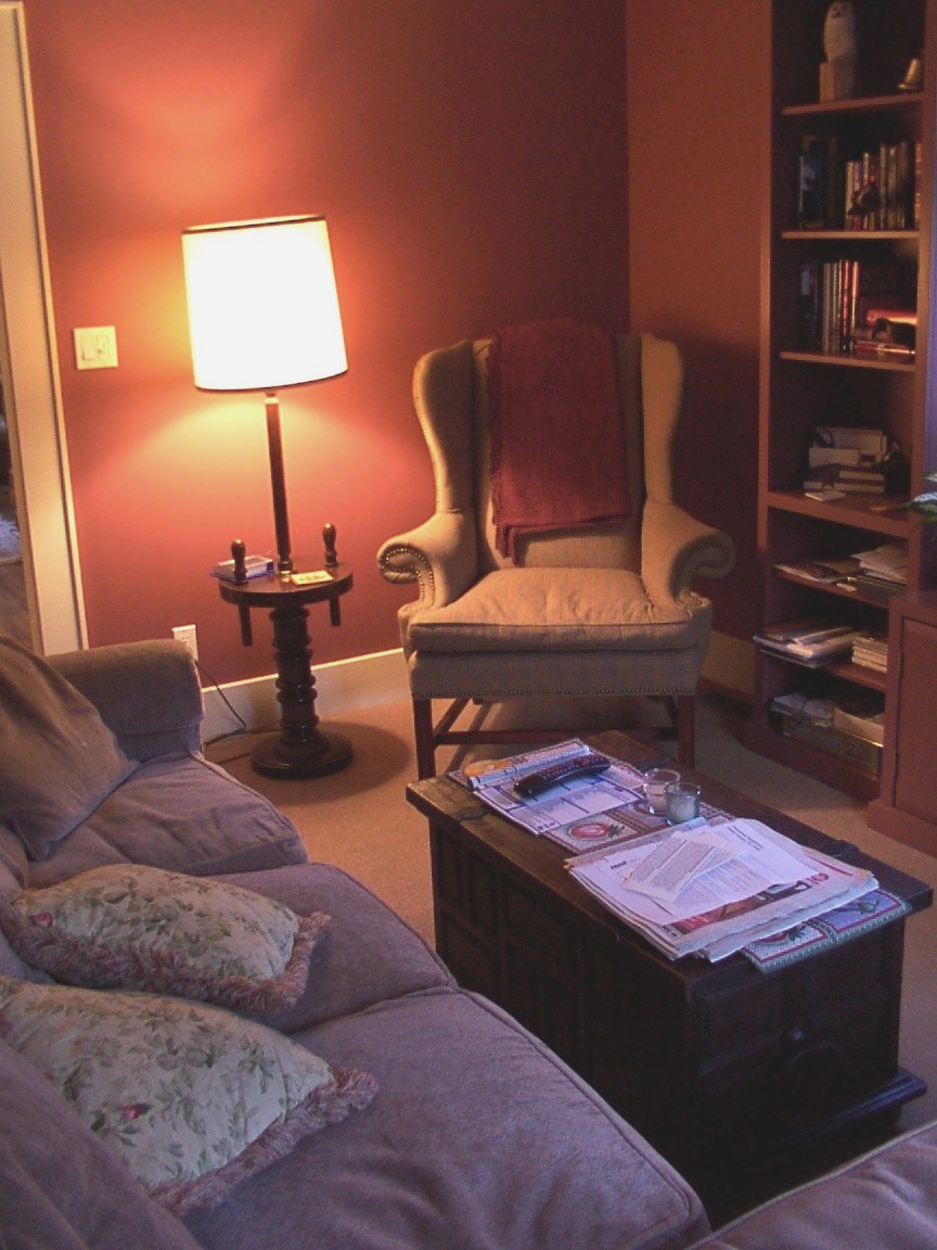 TV den with built-in bookcases